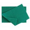 Berties Caterers Industrial Scouring Pads (Pack of 10)
