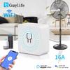 WiFi Smart Switch 16A/20A Relay Module with Timer APP and Voice Control for Alexa Google Home Yandex Alice Smart Home Automation