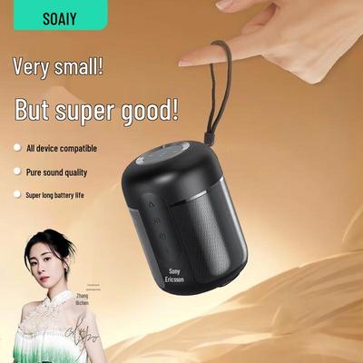 Портативная Bluetooth-колонка Soaiy, штепсель CN (адаптер в комплекте)