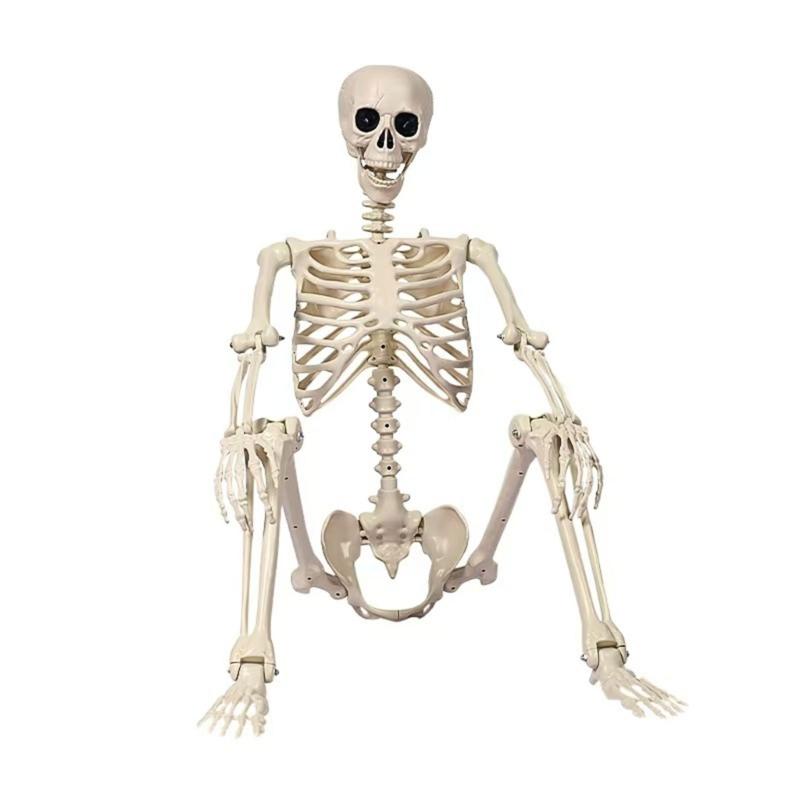 Realistic Full Body Human Bone Halloweens Props Flexible Joints Portable Plastic Indoor Outdoors Decoration