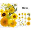 495Piece Dried Flower Craft Set Including Pressed Blooms and Butterfly Stickers for Resin Art and Journal Decorating