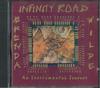 CD БРЕНДА УАЙЛД Infinity Road IRCD88888 INFINITY ROAD 1993 США Фолк Б/у
