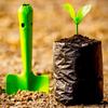 100PCS Nursery Bags Black Plant Grow Bags Plant Growth Bag Pots Flower