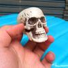 Halloween  Artificial Skull Head Model Skull Bone Scary Horror Skeleton Ornament