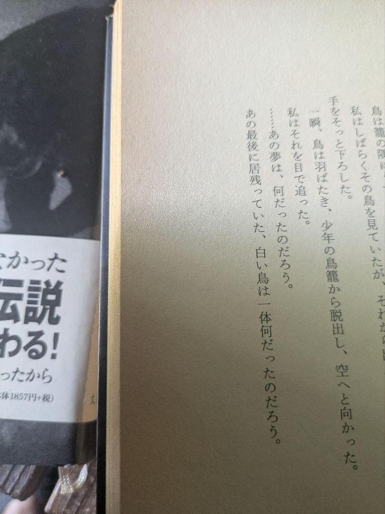 [USED] Shinya Fujiwara Collected Works Set of 6 Volumes: Yomi no Kuni, Nihon Jodo, Tokyo Drifting, and More