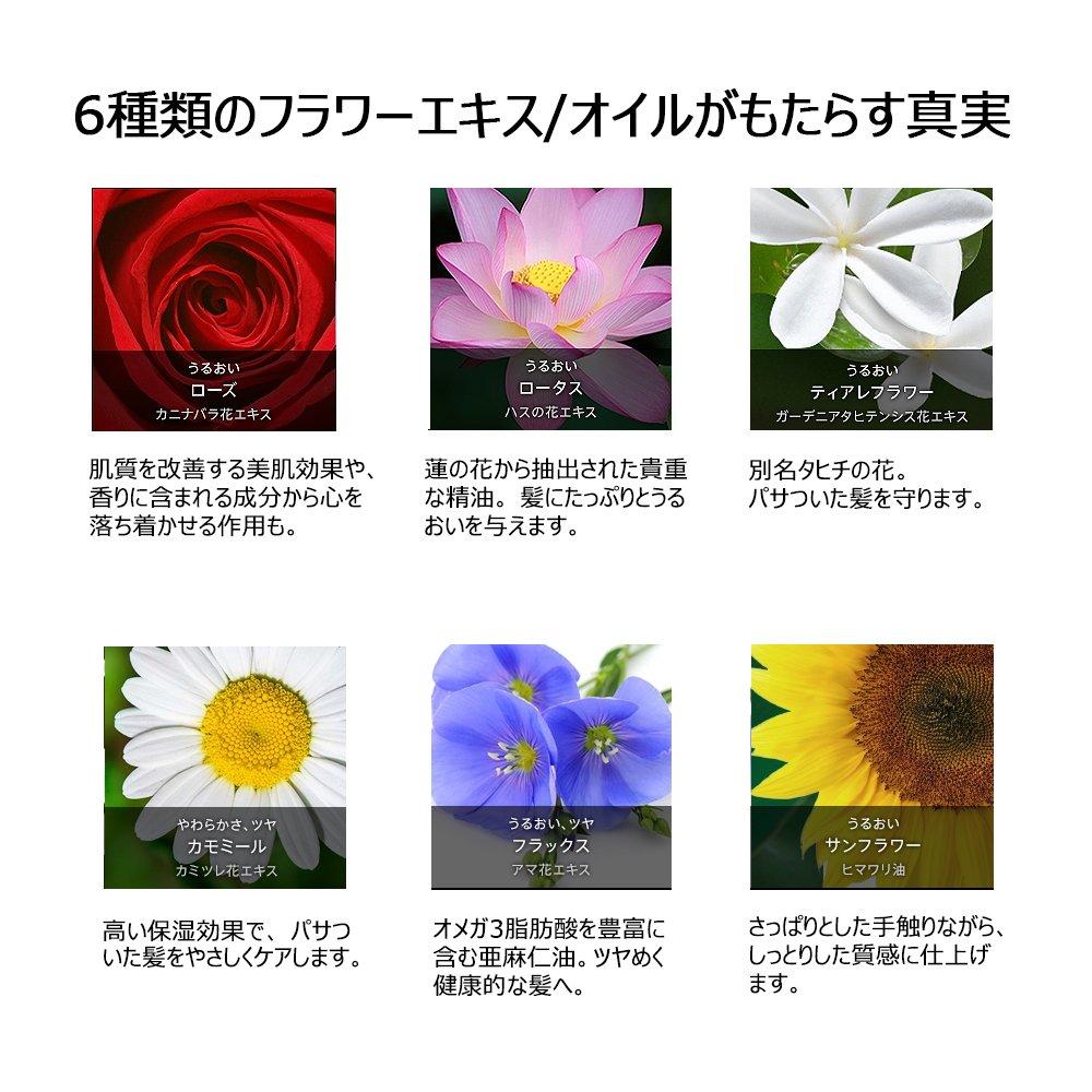 Paris Elseve Hair Cream La Rich Finish hair и 100 г L'Oréal Crème (обработка без ополаскивания) (мягкое увлажнение)