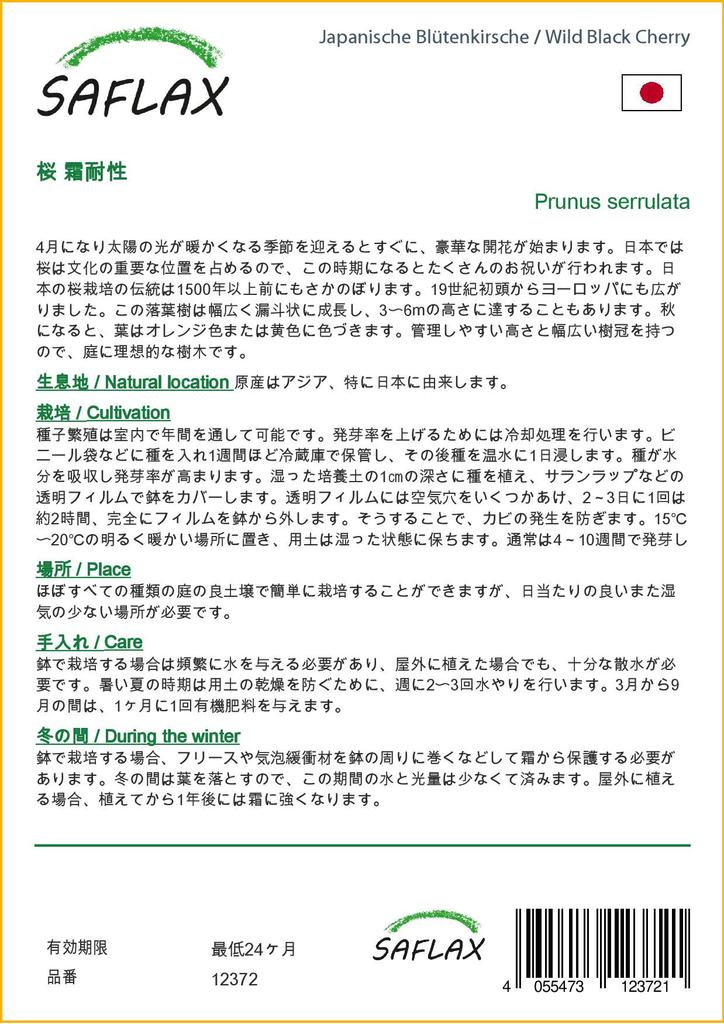 SAFLAX Wild Black Cherry - 30 семян - С горшечным субстратом для лучшего выращивания - Prunus serrulata