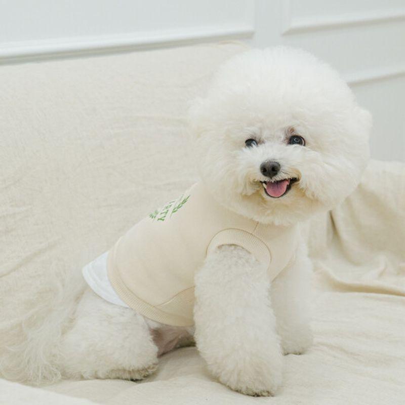 SALTYHEARTY SALTYCLUB SWEATSHIRT IVORY