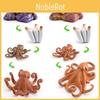 Educational Octopus Growth Process Model Perfect For Stem Learning And Marine Biology