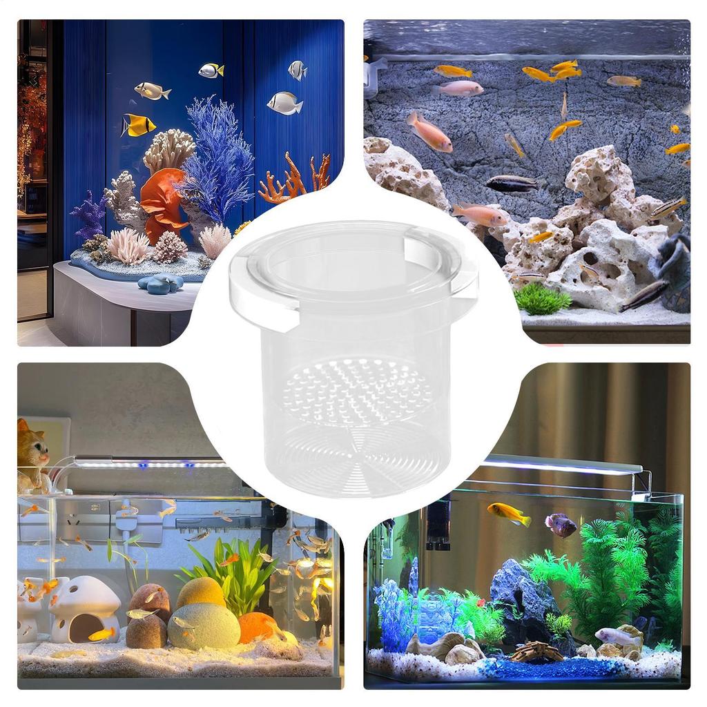 Fish Breeder Box For Aquarium Floating Aquarium Breeding Box Nursery Feeding Container Hatchery Incubator Divider For Betta Egg