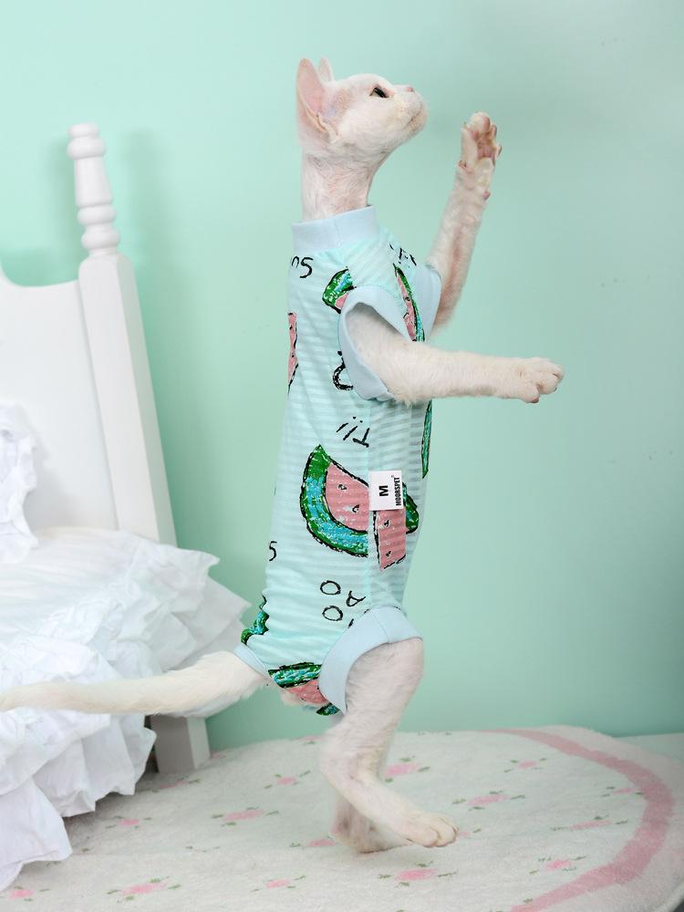 Жилет MOORSPET для кошек породы сфинкс, весна/лето - легкий хлопок, защита живота, дизайн с четырьмя лапами для лысых кошек