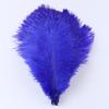 15-20 20-25 30-35CM Natural Ostrich feathers Centerpiece Multicolor Ostrich Feathers Party Table Vase Decoration plumas 10PCS
