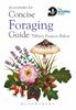 Книга Concise Foraging Guide