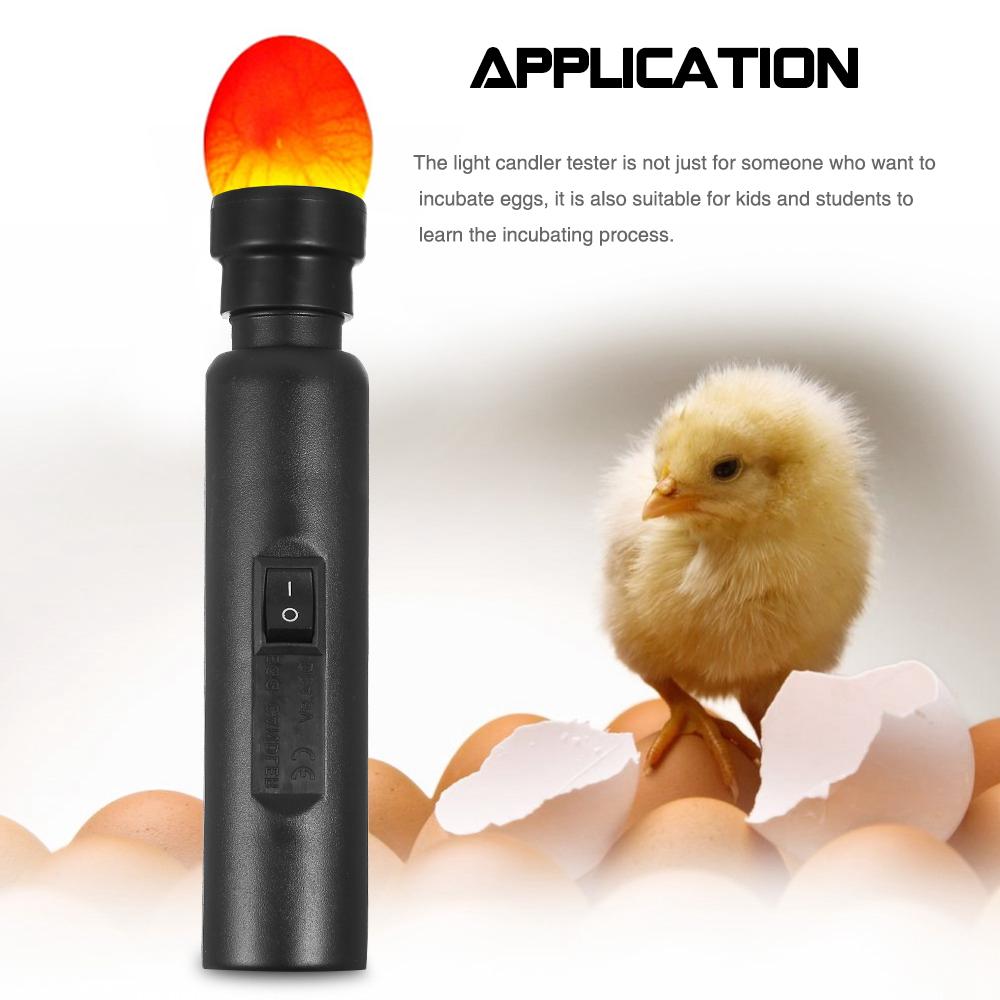 Bright Cool LED Light Egg Candler Tester Incubator Warehouse Exclusive Power by Power Supply Only