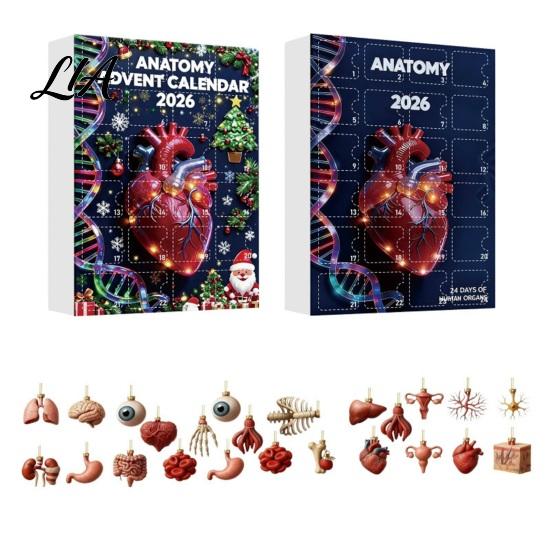 Human Organ Ornaments 2026 Anatomy Advent Calendar, 24-Day Body Ornament Set, Anatomical Creative Science Decor Hanging for Christmas Tree,