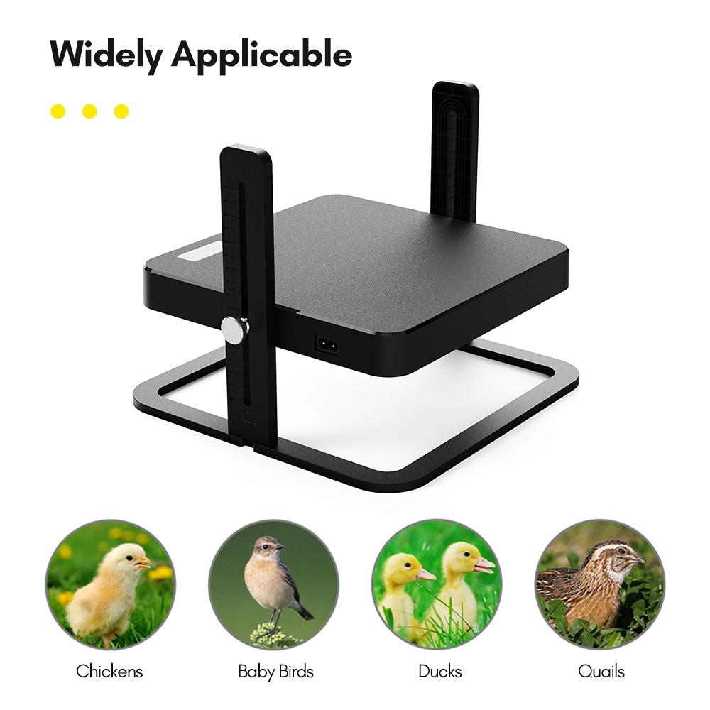 Брудер для курицы, нагревательная пластина, термо-брудер для птицы с регулируемыми углами наклона по высоте для новичков
