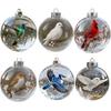 Nature's Birds Crystal Glass Ornament Clear Plastic Bird Christmas Ball Ornament Xmas Tree Memorial Gifts for Holiday Indoor Home Decor