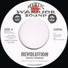 7-дюймовая пластинка MYSTIC INNA WARRIOR - Revolution / One Blood MIW7002 Mystic Inna War 2011 Япония Танцевальная и электронная музыка Б/у