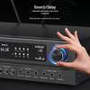 Malone KT-330 Профессиональная домашняя аудиосистема KTV Штепсель CN (адаптер в комплекте)