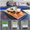 Railway Construction Simulation Model Plant Cluster Artificial Grass Tufts Miniature Grass Bushes