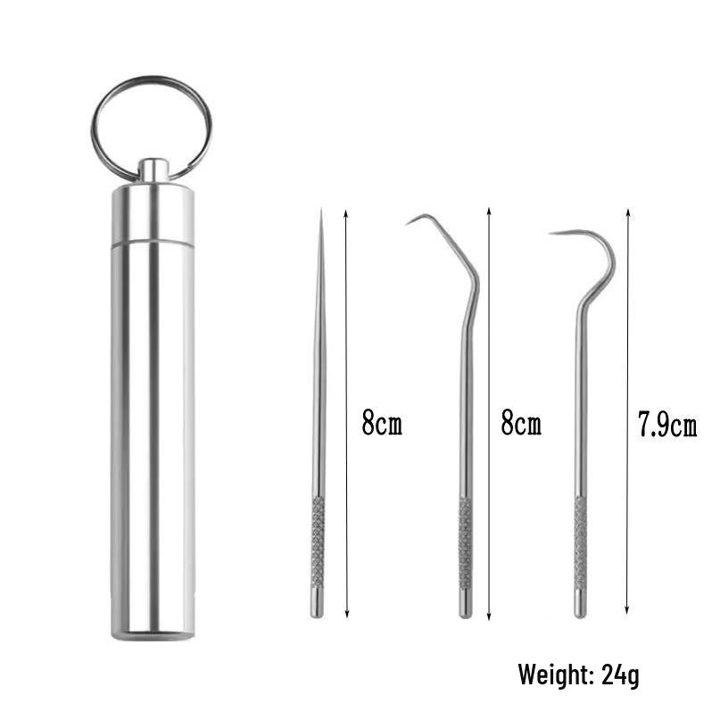 Portable 304 Stainless Steel Toothpick Set with Storage Tube for Oral Care