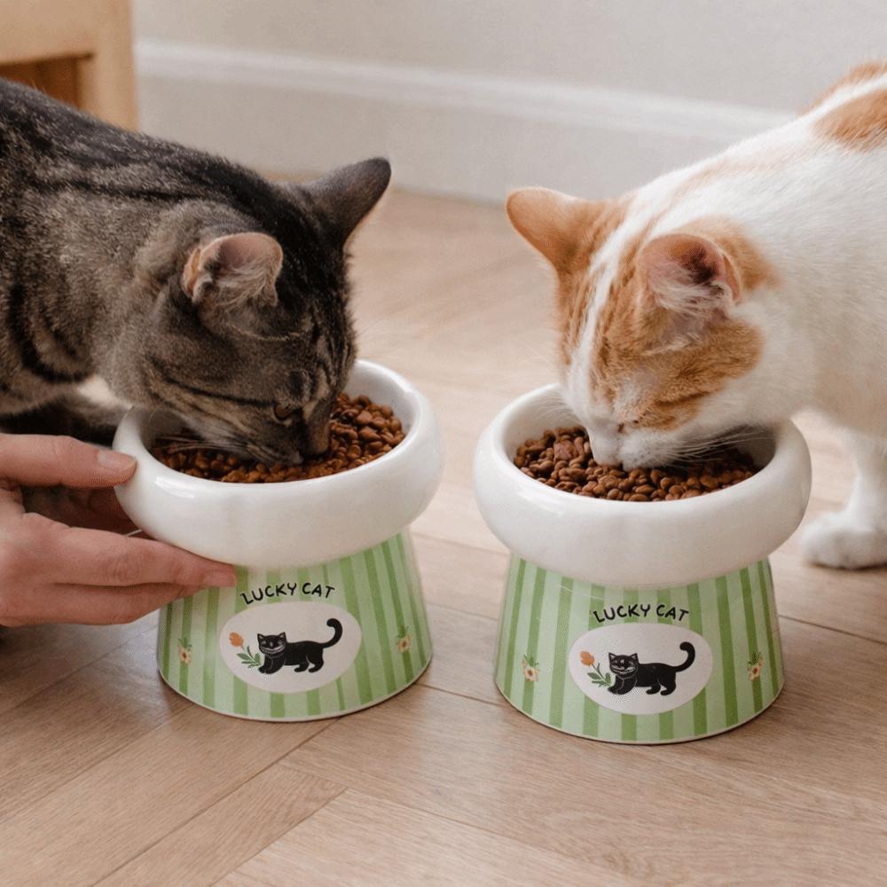 Wide Mouth Dog Food Feeder Anti-Slip Base Elevated Feeding Bowl  for Cats Dog Puppy