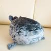 Подушка-тюлень Blob Подушка-тюлень Пухлый 3D Новинка Игрушка-тюлень Плюшевая набивная игрушка Подушка для сна Подарки на день рождения для детей Девочек