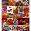 Full 5D Diy Diamond Painting Beautiful Flower Diamond Embroidery Full Lay Anime Cross Stitch Kits Home Decor Handmade Gift