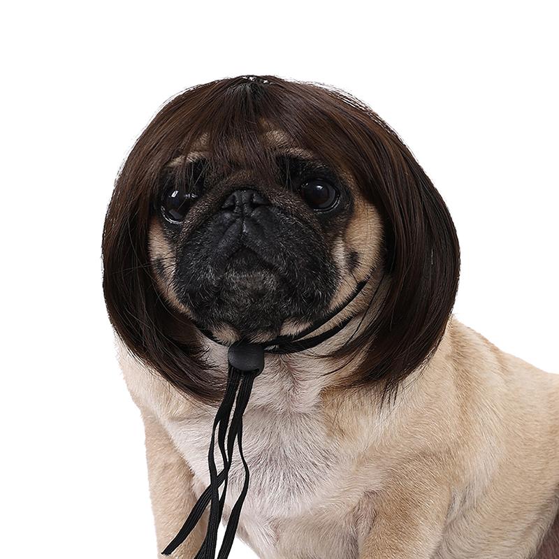 Кошка Собака Домашние животные Парики Головной убор Забавный костюм Щенок Трансвестит Косплей Одевание Милые питомцы Набор для волос Забавный реквизит Головные уборы Аксессуары