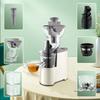 2L Large Capacity Electric Juice Extractor Kitchen High Speed Blender Powerful Fruit Vegetable Slow Juicer Machine