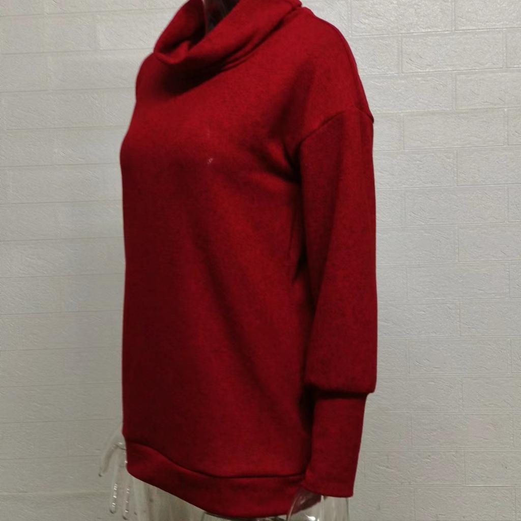 Autumn and Winter Women's Fashion Casual Turtleneck Brushed Knitwear