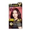 Silk Therapy Rien Black Mobibook Cream Hair Dye Wine Brown 120g