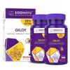 Siddhayu Giloy Tablets 60+20=80 Count X 2 Natural Immunity Booster Guduchi Supplements for Wellness