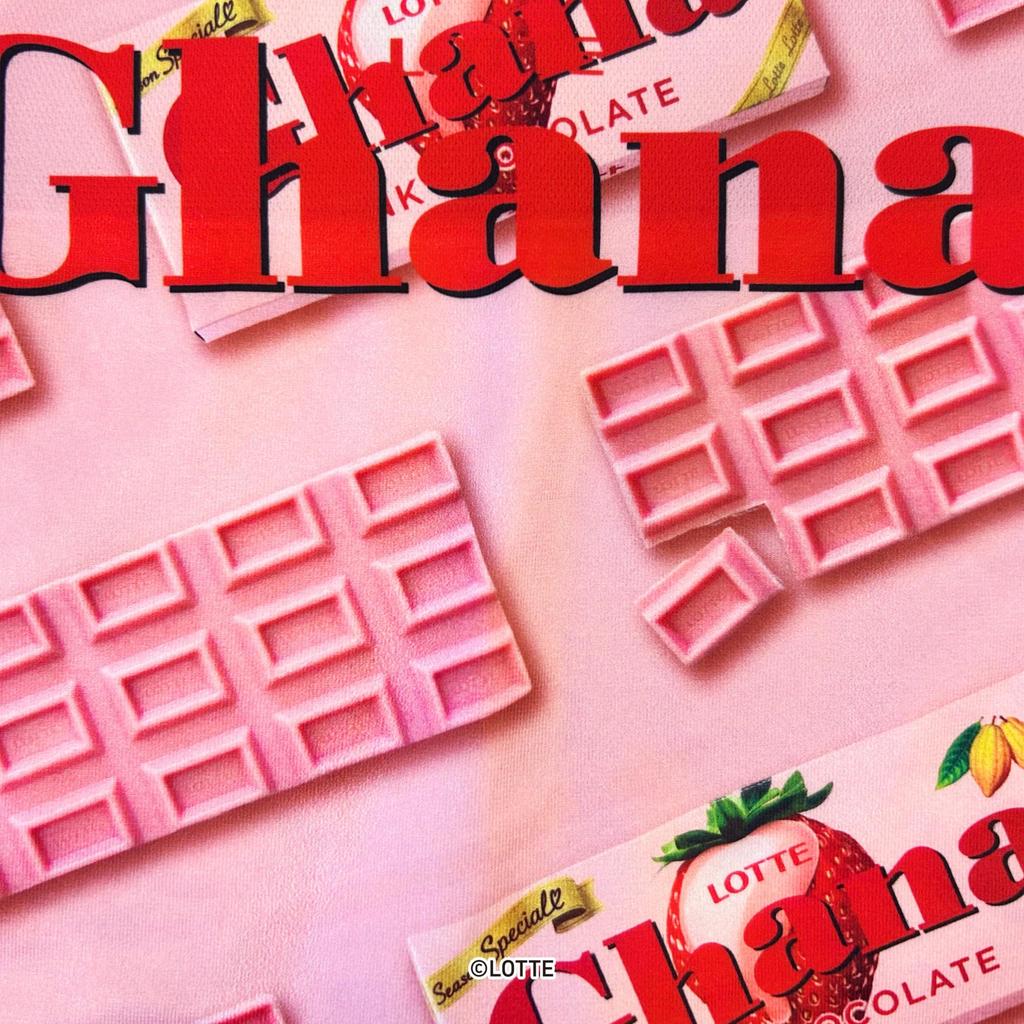 LOTTE Boxer Briefs In Ghana Pink Chocolate [Hip Shop] Men's