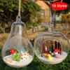 Hanging Transparent Ball Glass Flower Planter Vase Terrarium Landscape Container