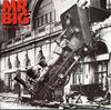 CD MR BIG - Lean Into It 7822092 Atlantic 1991 US Rock Used