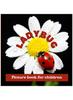 Книга Ladybug : Picture Book for Children