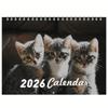 2026 Cute Tabby Kittens Calendar 12 Monthly Planner Wall Calendar Home Office