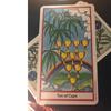 Карты Таро с травами и руководство в формате PDF для гадания на развлекательных вечеринках. Настольная игра