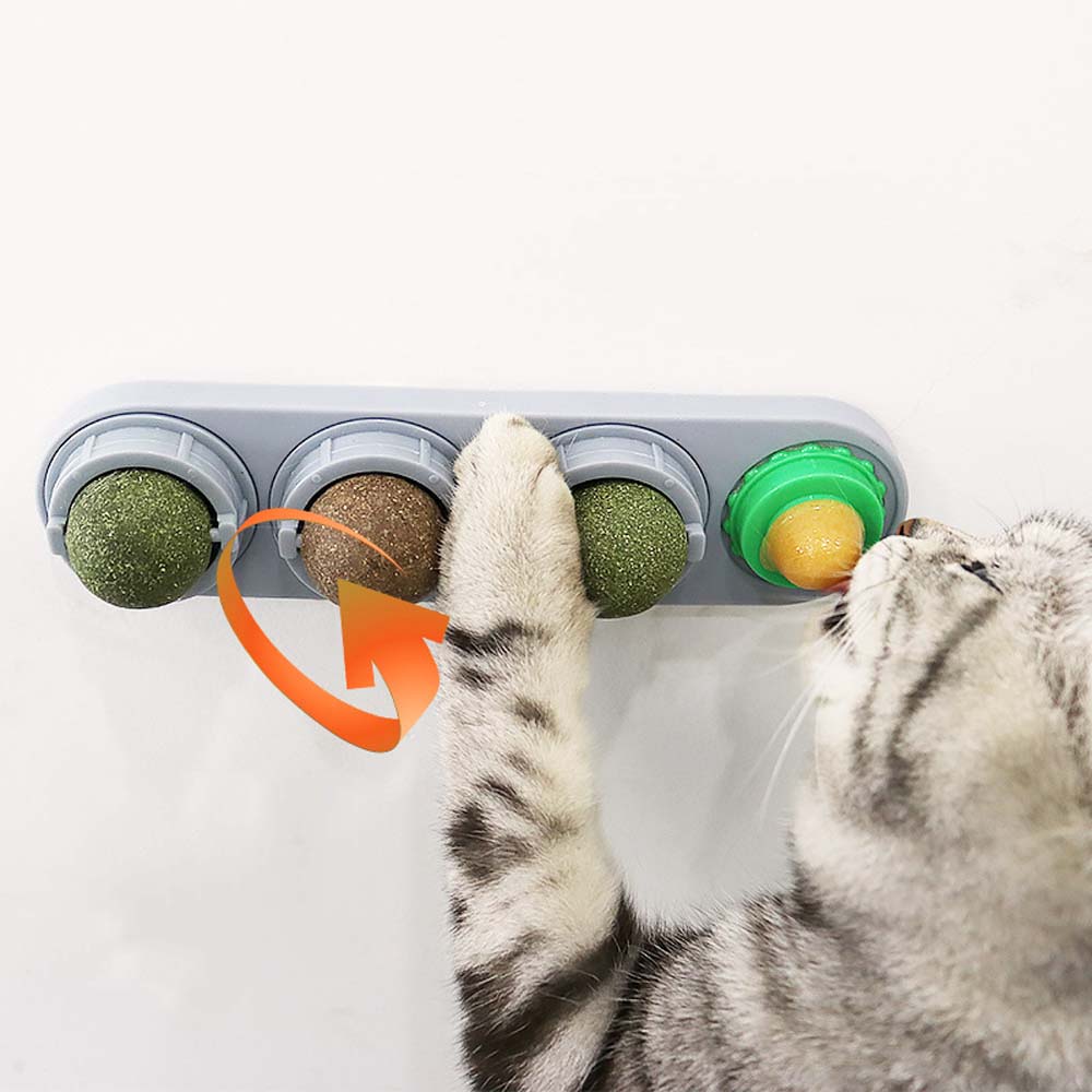 Edible Safe Chew Ball Nutrition Teeth Cleaning Cat Supplies Catnip Balls Molar Cat Snacks Cat Toys