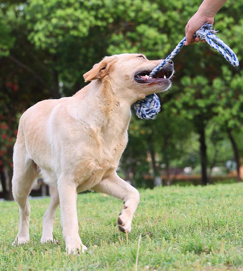 Chew Bite Resistant Interwoven Cotton Pet Dog Rope Toys