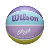 Wilson Basketball Caitlin Clark DREAMER Outdoor Size 6 Ball WZ3021202XB6