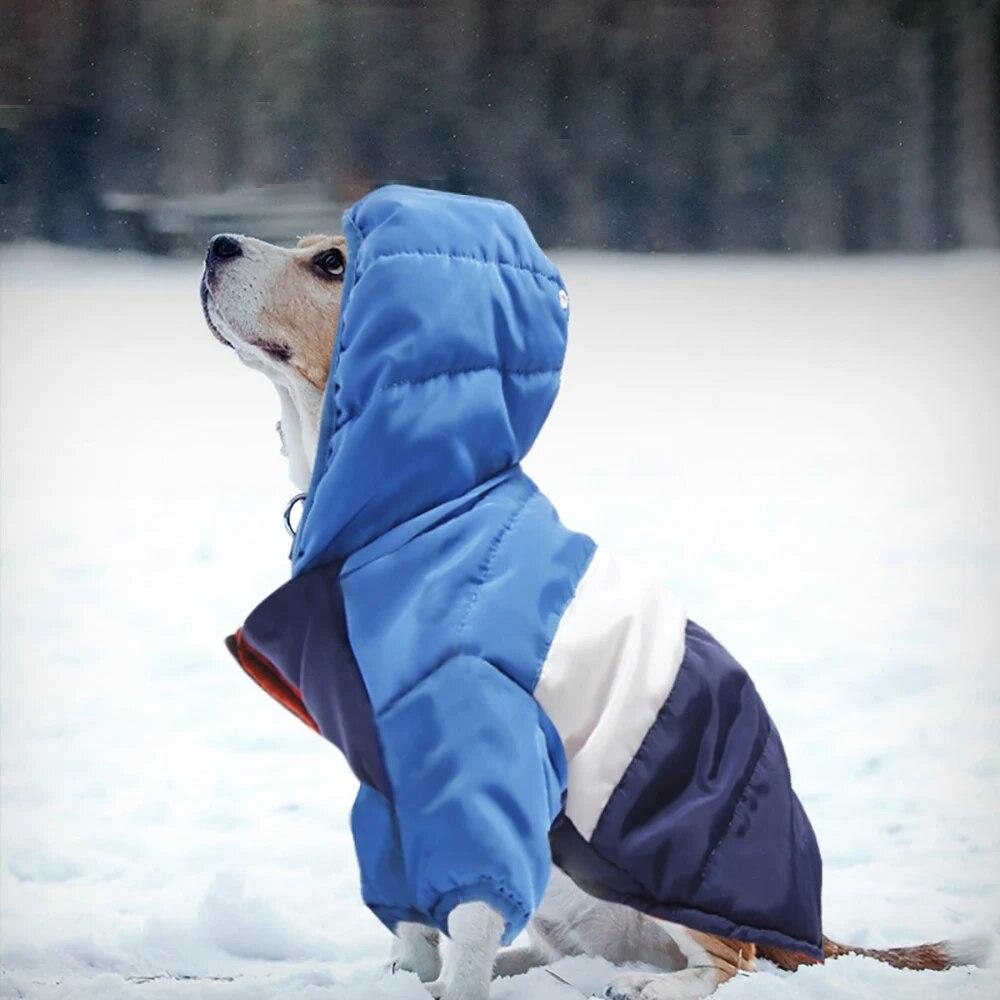 Теплая зимняя куртка для домашних животных, непромокаемый костюм для щенков, одежда для домашних животных, пальто, одежда для чихуахуа, жилет, Ropa Para Perros, костюм для собак