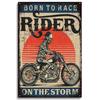 Рожден, чтобы ездить Мотоциклетные Жестяные Таблички, Ретро Металлическая Табличка, Винтажный Настенный Декор, Гараж, Бар, Мужская Пещера, Декоративная Тарелка