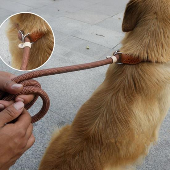 Поводки для собак, прочный нейлоновый поводок для собак среднего размера, поводок для дрессировки без натяжения для контроля ходьбы