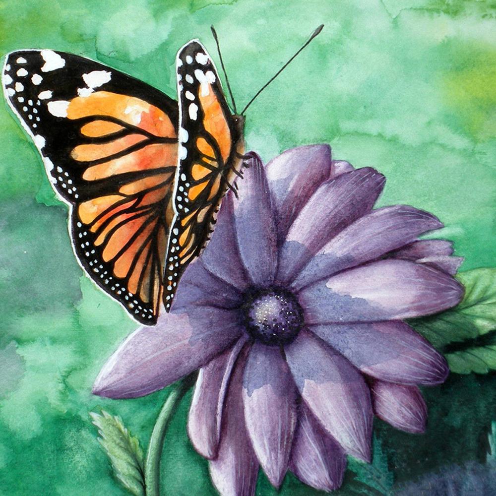 Diy 5D алмазная живопись Бабочка Цветок Алмазная вышивка набор крестиков мозаичная картина украшение дома подарок на Новый год