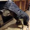 Reflective Large Breed Dog Rain Poncho - Waterproof & Windproof Hooded Raincoat