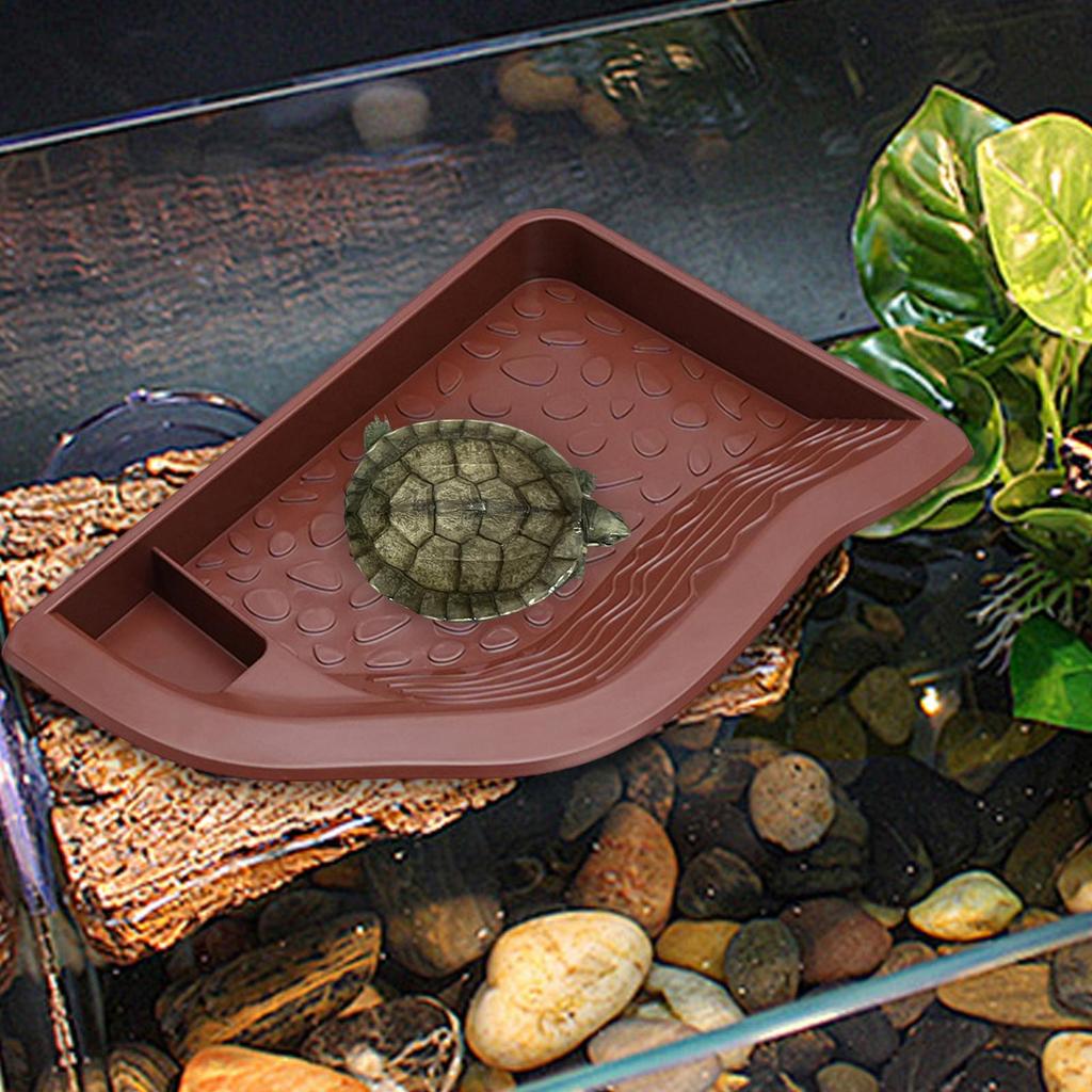 Aquarium Water Dish for Reptiles with Ramp, Tortoise Feeder And Snake