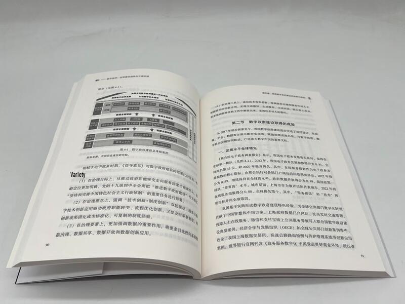 Digital Government: Global Trends and China's Practice