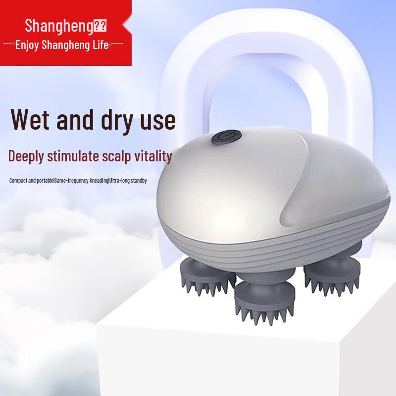 Shangheng Electric Head Massager